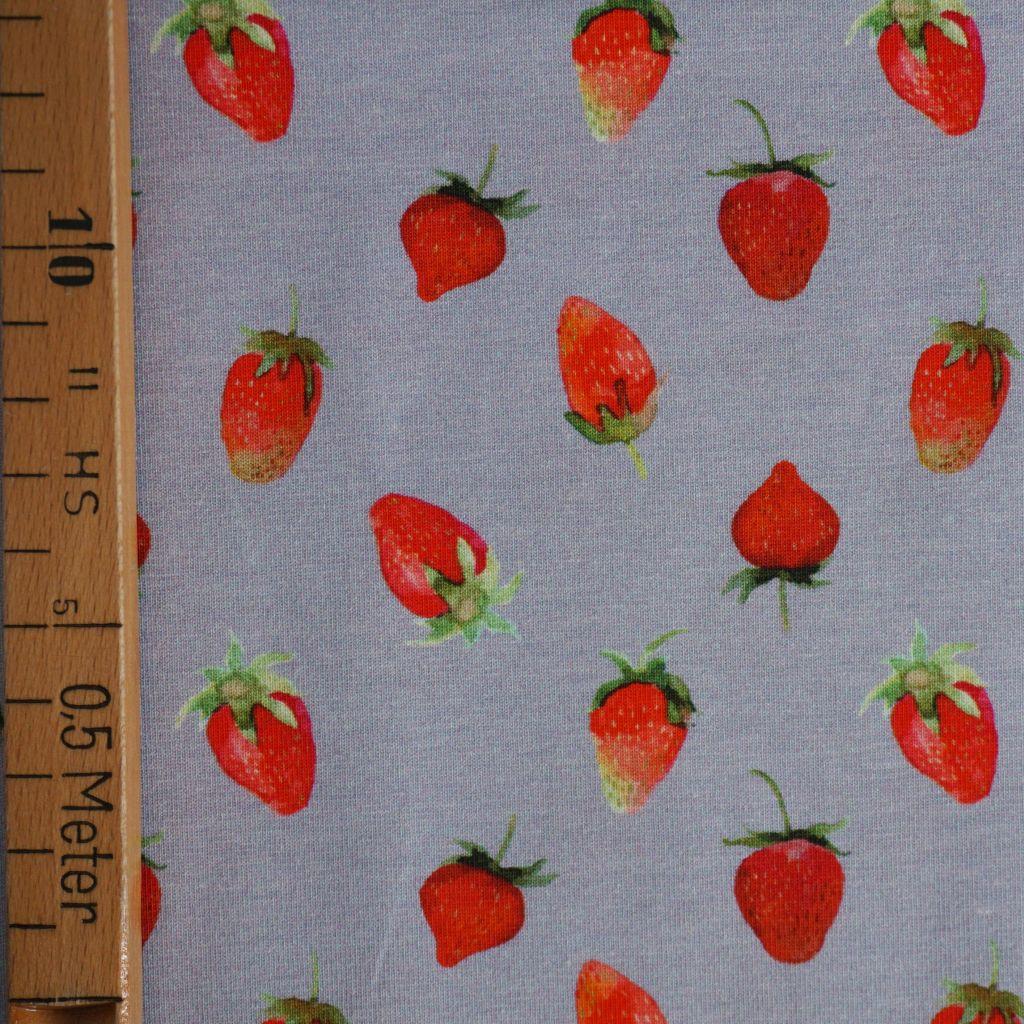 Baumwolljersey Erdbeeren Obst grau